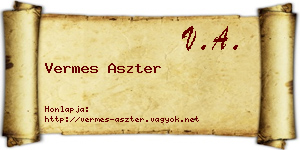 Vermes Aszter névjegykártya